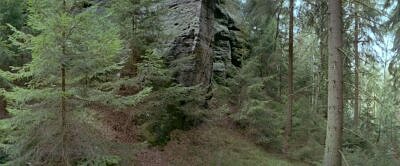 Sächsische Schweiz Waldbilder